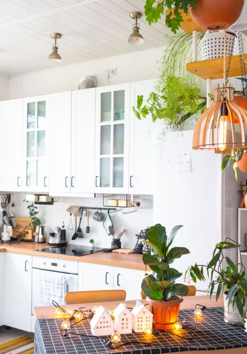 Light white modern rustic kitchen decorated with potted plants, loft-style kitchen utensils. Interior of a house with homeplants